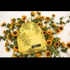 Day Pak'r Sunflowers, Eastpak x Van Gogh Museum®