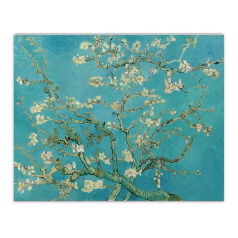 Canvas L Almond Blossom