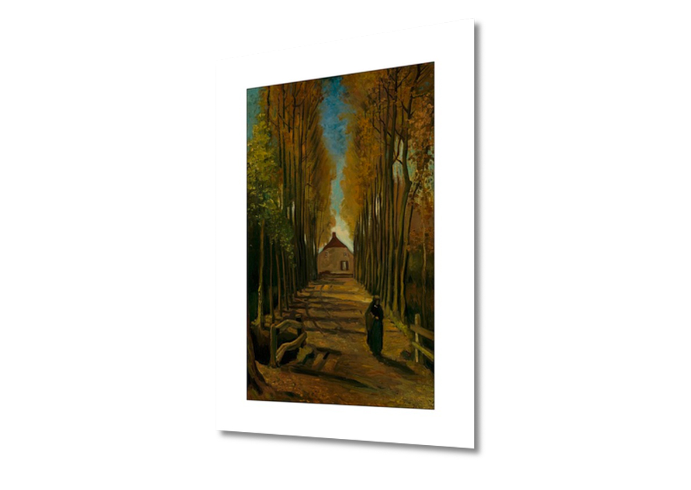 Vincent Van Gogh Poplars in Autumn Canvas Box Art/ Photo/ Fine Art Print A4 A1 ++ A3 A2