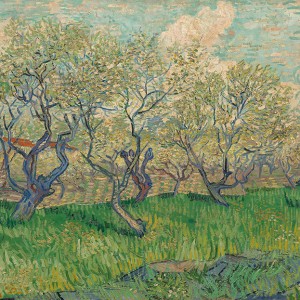 Van Gogh Giclée, Orchard in Blossom