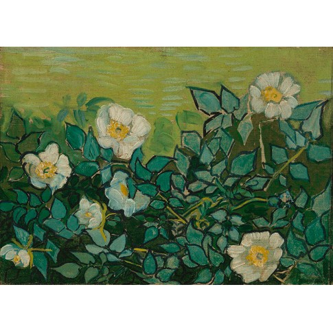 Van Gogh Giclée, Wild Roses