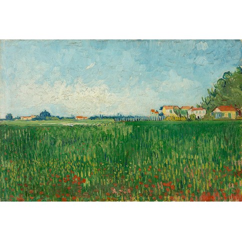 Van Gogh Giclée, Field with Poppies