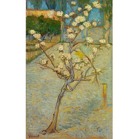 Van Gogh Giclée, Small Pear Tree in Blossom
