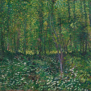 Van Gogh Giclée, Trees and Undergrowth