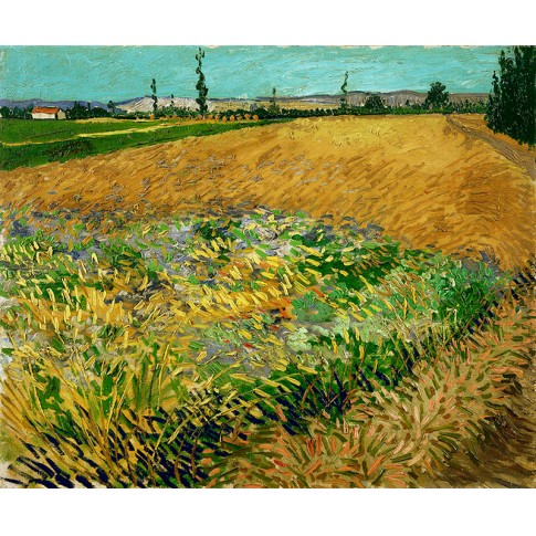 Van Gogh Giclée, Wheatfield
