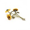 Van Gogh Michael Michaud® Pin Sunflowers