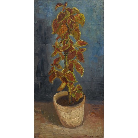 Van Gogh Giclée, Flame Nettle in a Flowerpot