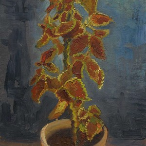 Van Gogh Giclée, Flame Nettle in a Flowerpot