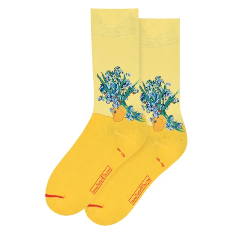 Socks Irises Vincent van Gogh