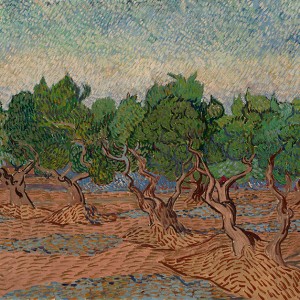 Van Gogh Giclée, Olive Grove