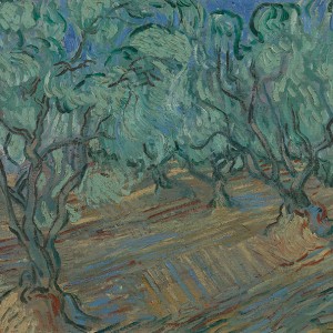 Van Gogh Giclée,Olive Grove