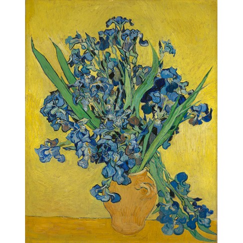 Van Gogh Giclée, Irises