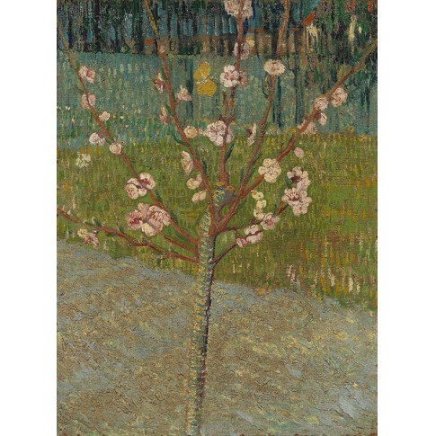 Van Gogh Giclée, Almond Tree in Blossom