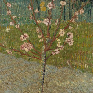 Van Gogh Giclée, Almond Tree in Blossom