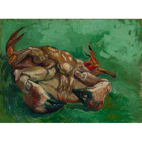 Van Gogh Giclée, Een op zijn rug liggende krab