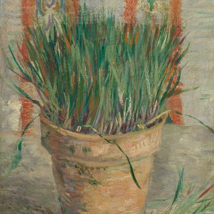Van Gogh Giclée, Maceta con cebollino francés