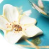 Van Gogh Franz Collection® porcelain cup and saucer Almond Blossom