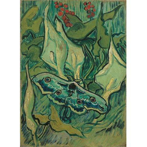 Van Gogh Giclée, Pavón nocturno