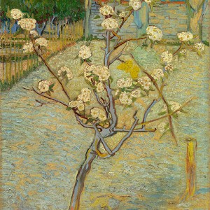 Van Gogh Giclée, Peral en flor