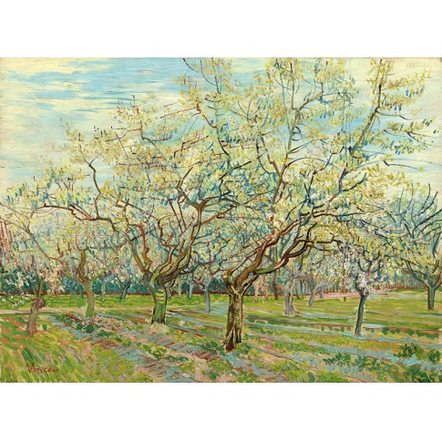 Van Gogh Giclée, The White Orchard