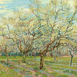 Van Gogh Giclée, The White Orchard