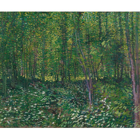 Van Gogh Giclée, Bos met kreupelhout