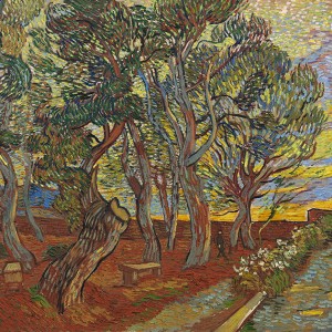 Van Gogh Giclée, Jardín del Hospital de Saint-Paul