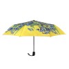 Paraguas Van Gogh, Lirios