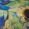 Paraguas Van Gogh, Lirios