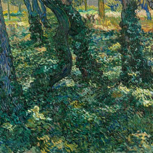 Van Gogh Giclée, Undergrowth