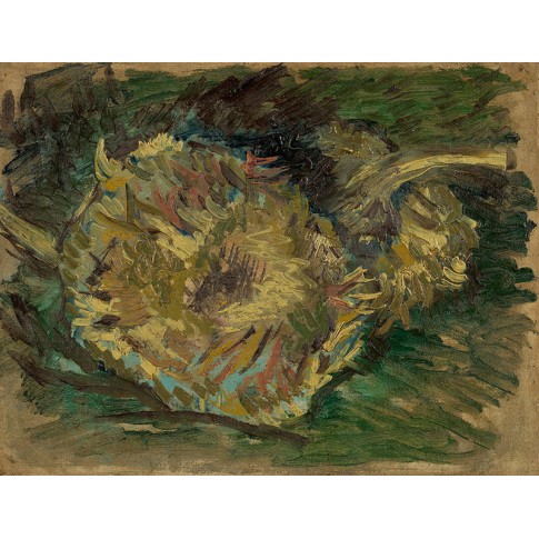 Van Gogh Giclée, Uitgebloeide zonnebloemen