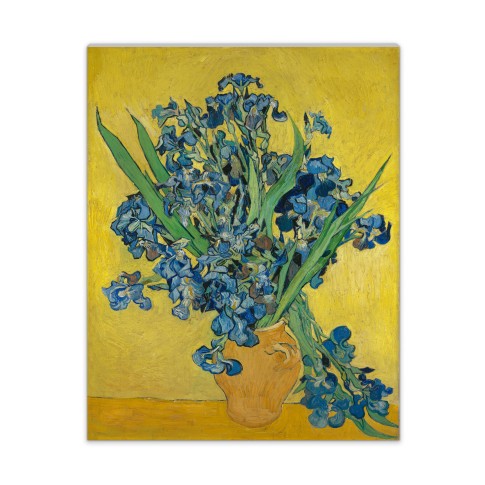 Van Gogh Canvas XL Irissen