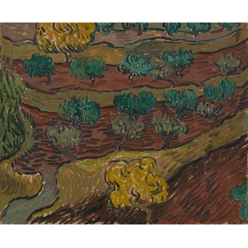 Van Gogh Giclée, Olijfbomen op een berghelling