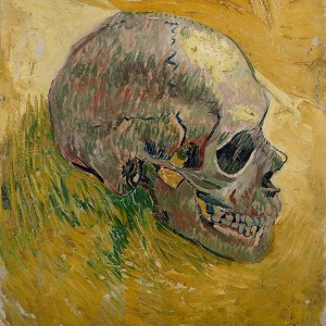 Van Gogh Giclée, Schedel